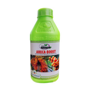Areca Boost
