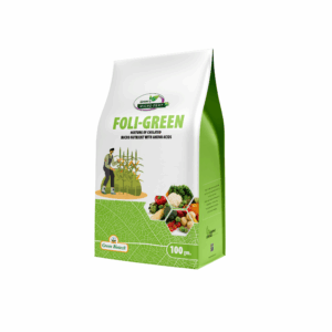 Foli Green