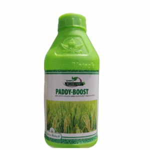 Paddy Boost